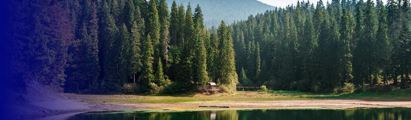 Régimen Jurídico de los Recursos Naturales y del Ambiente